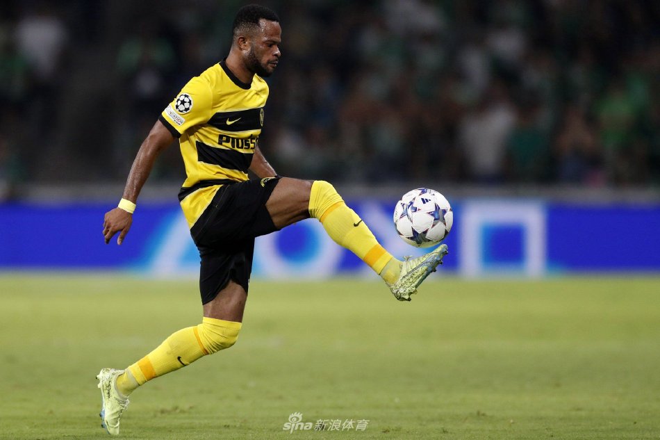 在国际赛事 在国际赛事