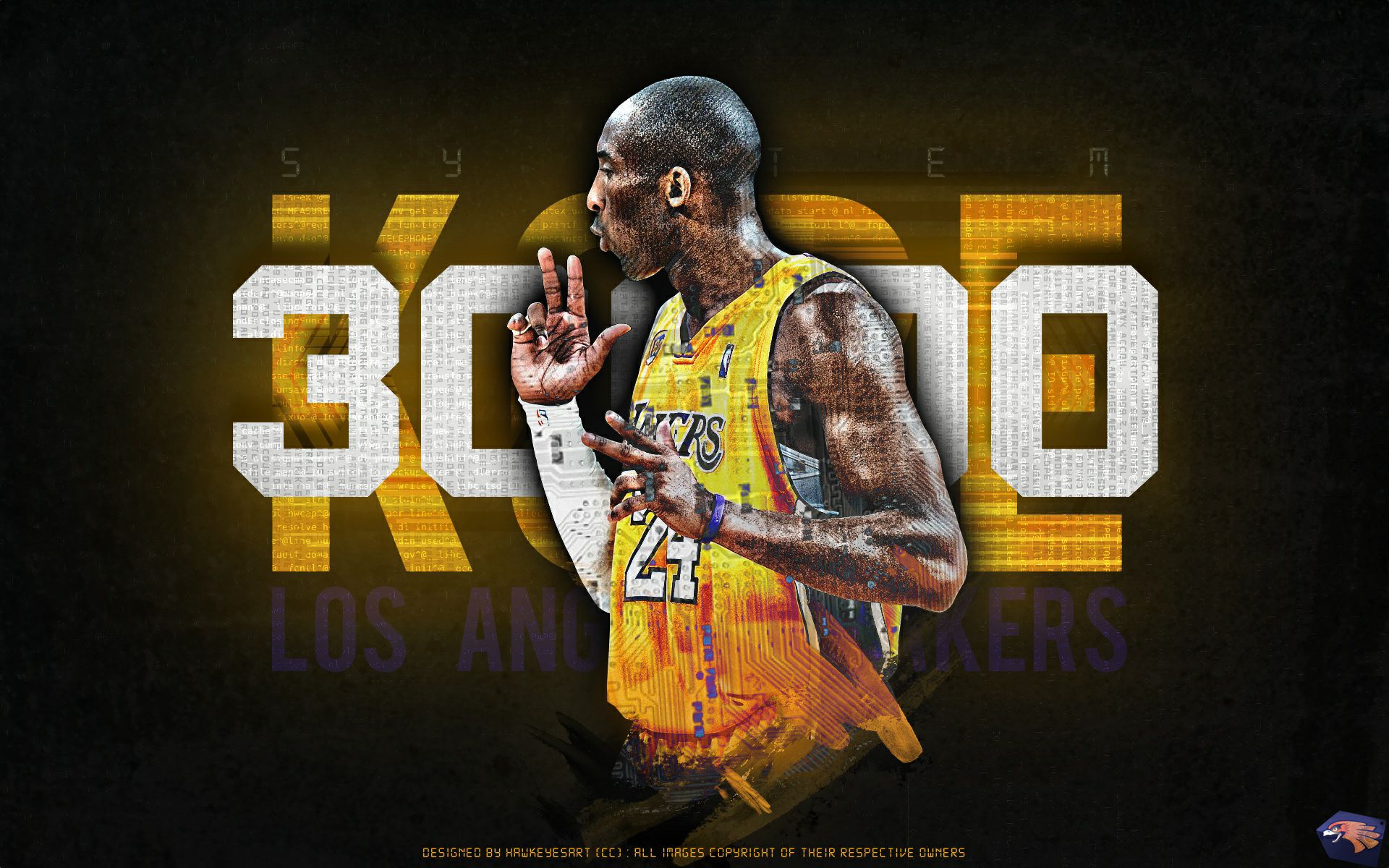 养方面所起 养方面所起